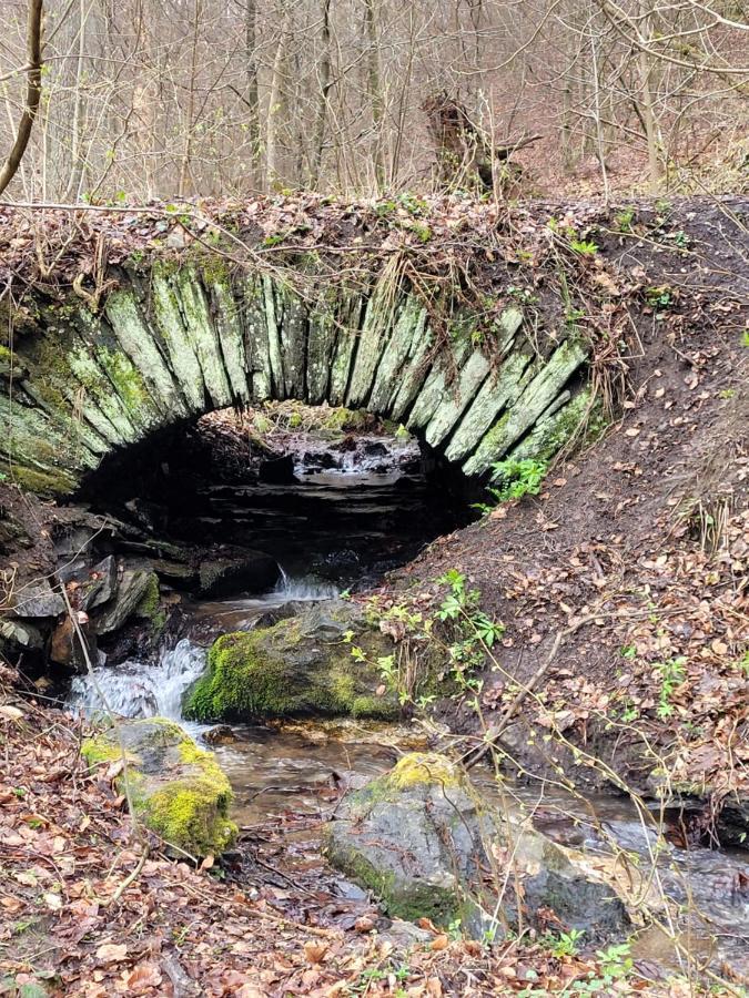 Auf Der Heide *